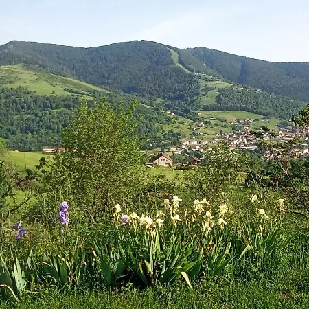 Location Des Cimes * Bussang